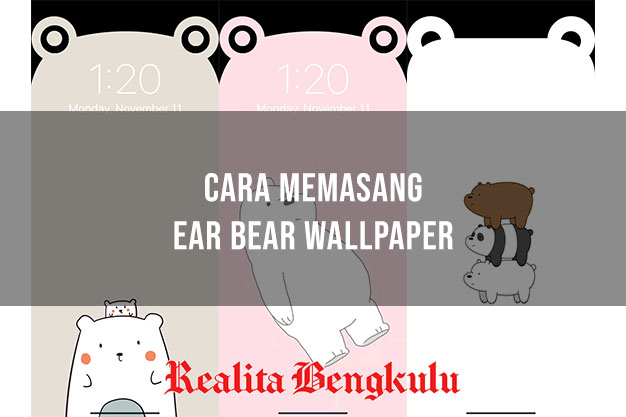 Ear Bear Wallpaper
