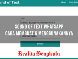Sound of Text WhatsApp, Cara Membuat & Menggunakan Sound of Text WA