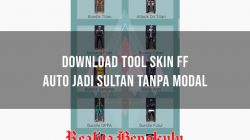 Tool Skin FF