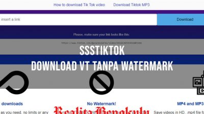 SSSTiktok, Tempat Download Tiktok Tanpa Watermark, Ini Caranya!
