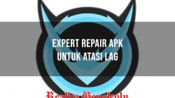 Expert Repair APK