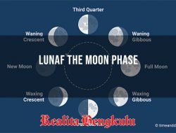 Lunaf the Moon Phase yang Viral di Tiktok, Ini Cara Membuatnya