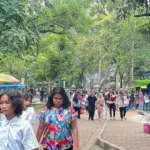 Libur Natal 2025: Pengunjung Taman Margasatwa Ragunan Tembus 50 Ribu Orang