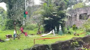 Ragunan Hadirkan Feeding Gorila Bertema Natal dan Tahun Baru, Targetkan 80 Ribu Pengunjung