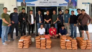 BNNP Sumbar Gagalkan Peredaran 100 Paket Ganja di Agam, Tiga Tersangka Dibekuk