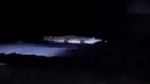 Video Buaya Muncul di Pantai Malang Beredar, Polisi Imbau Warga Segera Melapor