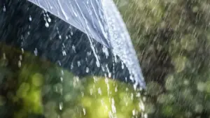 BMKG Peringatkan Potensi Hujan Lebat Saat Libur Nataru, Waspadai Wilayah Ini