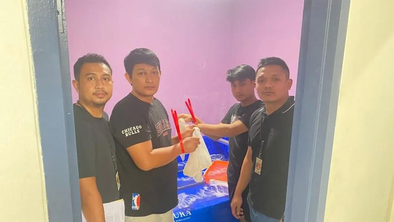 Polisi Tangerang Ungkap Jaringan Penyelundupan 30.000 Benih Lobster Ilegal ke Singapura Polisi Tangerang Ungkap Jaringan Penyelundupan 30.000 Benih Lobster Ilegal ke Singapura