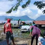 Cuaca Ekstrem Picu Kematian 1.428 Ton Ikan di Danau Maninjau, Kerugian Capai Rp 32 Miliar