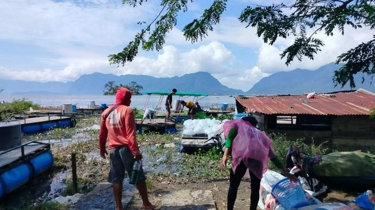 Cuaca Ekstrem Picu Kematian 1.428 Ton Ikan di Danau Maninjau, Kerugian Capai Rp 32 Miliar Cuaca Ekstrem Picu Kematian 1.428 Ton Ikan di Danau Maninjau, Kerugian Capai Rp 32 Miliar