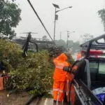 Hujan Angin Terjang Kemang Bogor, Pohon Tumbang dan Sejumlah Bangunan Rusak