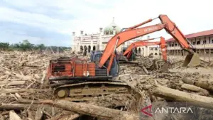 DPR Desak Mendagri Tito Karnavian Segera Putuskan Nasib Tumpukan Kayu Gelondongan Pascabencana