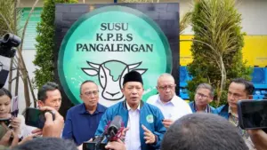 KPBS Pangalengan: Koperasi Modern Produksi 80 Ton Susu per Hari, Siap Olah UHT