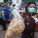 Kejari Bogor Musnahkan 5 Kg ‘Keripik Pisang Narkoba’ yang Disemprot Zat Terlarang
