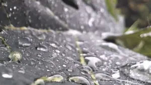 BMKG Prediksi Jakarta Diguyur Hujan Siang Ini, Waspadai Potensi Cuaca Ekstrem