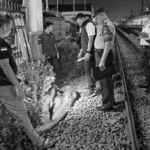 Bocah Tanpa Identitas Tewas Mengenaskan Tertabrak Kereta Api di Cakung, Jakarta Timur