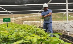 Banjir dan Longsor Sumatera: Ancaman Ekologis dan Upaya Pemulihan Warisan Alam