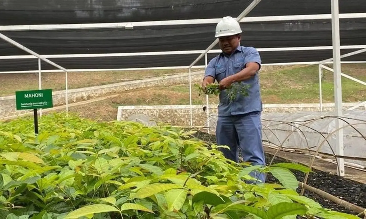 Banjir dan Longsor Sumatera: Ancaman Ekologis dan Upaya Pemulihan Warisan Alam Banjir dan Longsor Sumatera: Ancaman Ekologis dan Upaya Pemulihan Warisan Alam