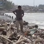 Pantai Teluk Labuan Pandeglang Dipenuhi Sampah Kayu, Diduga Berasal dari Luar Banten