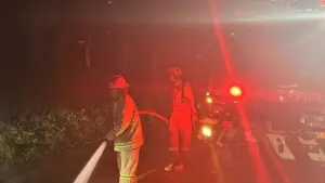 297 Kebakaran Melanda Bogor Sepanjang 2025, Cibinong Jadi Lokasi Paling Rawan