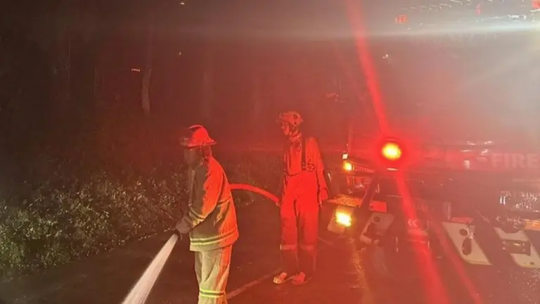 297 Kebakaran Melanda Bogor Sepanjang 2025, Cibinong Jadi Lokasi Paling Rawan