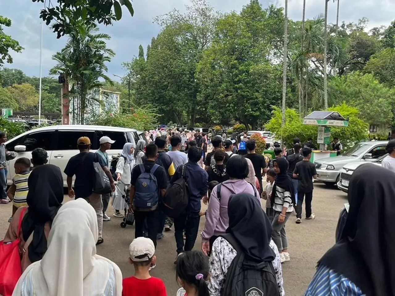 Libur Tahun Baru 2026: 113 Ribu Pengunjung Padati Taman Margasatwa Ragunan