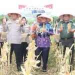 Panen Raya Jagung 2 Ton di Tigaraksa, Kolaborasi Polresta dan Pemkab Tangerang