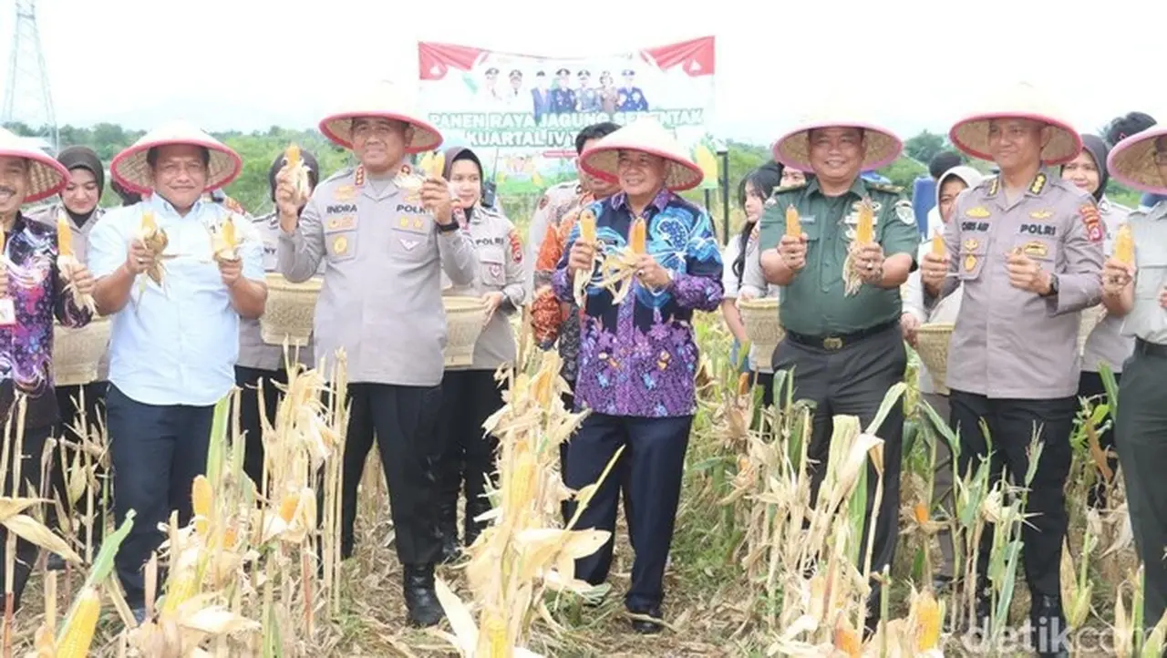 Panen Raya Jagung 2 Ton di Tigaraksa, Kolaborasi Polresta dan Pemkab Tangerang
