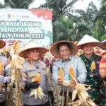Dukung Kedaulatan Pangan, Polda Riau Panen 100 Ton Jagung dari 36 Hektare Lahan