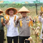 Polda Banten Gelar Panen Raya Jagung Dukung Swasembada Pangan Nasional