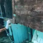 Nakhoda dan ABK Kapal Putri Sakinah Ditetapkan Tersangka Tenggelam di Labuan Bajo