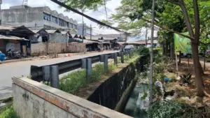 Bau Busuk Menyeruak dari Selokan Pasar Cimanggis Akibat Tumpukan Sampah Liar