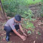 Kapolda Jateng Wajibkan 3.394 Personel Naik Pangkat Tanam 13.576 Pohon untuk Lestarikan Lingkungan