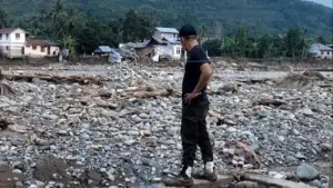 Banjir Sumatera: Petani Sawit Jalani Ritme Kerja Baru Pasca-Air Surut