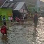 Pintu Kanal Jebol Akibat Banjir Rob, Desa Tridonorejo Demak Terendam