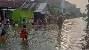 Pintu Kanal Jebol Akibat Banjir Rob, Desa Tridonorejo Demak Terendam
