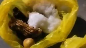 Viral Sajian Makanan Bergizi Gratis Dibungkus Plastik di Pandeglang, SPPG Buka Suara