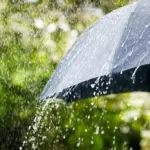 BMKG Prediksi Jabodetabek Hujan Sepanjang Hari, Waspadai Potensi Lebat di Beberapa Wilayah