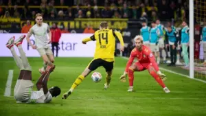 Borussia Dortmund Gasak Werder Bremen 3-0 di Signal Iduna Park