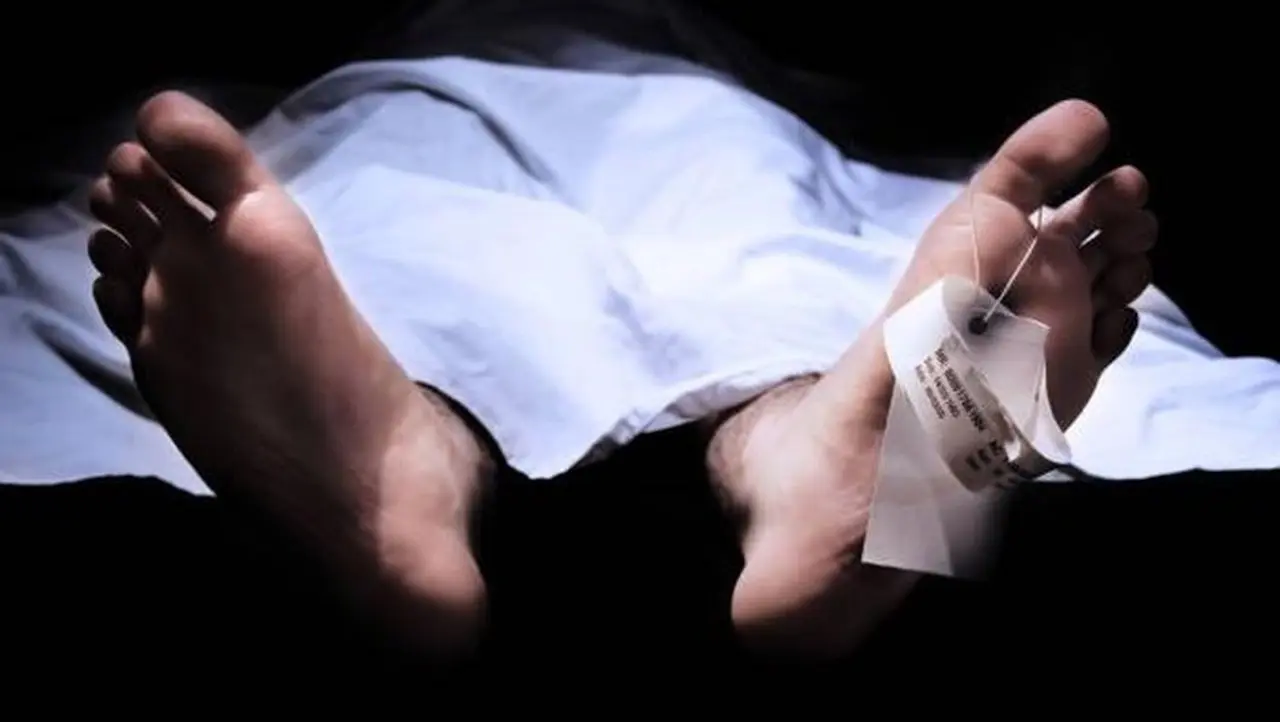 Pemuda di Bogor Tewas Tersengat Listrik Saat Hendak Ambil Dahan Pohon Salam