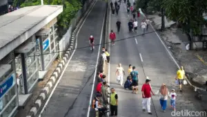 Oknum ASN Diduga Tebang Pohon Ilegal di Kebayoran Lama, Camat Sebut Pelaku dari Bina Marga