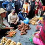 Wamendagri Ribka Haluk Dampingi Gibran Rakabuming, Pastikan Percepatan Pembangunan Papua