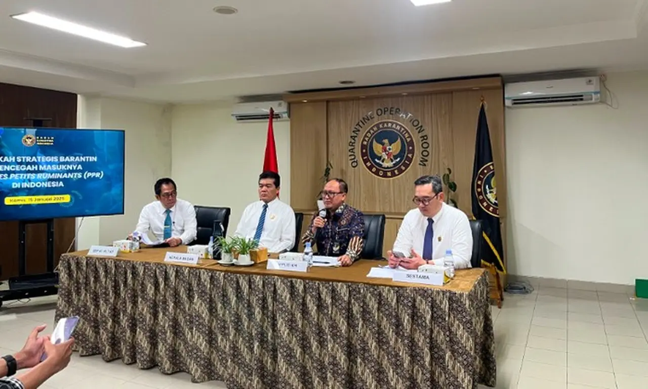 Antisipasi Virus PPR, Barantin Perketat Arus Masuk Kambing dan Domba dari Luar Negeri