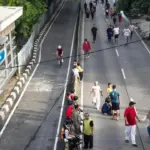 Oknum ASN Bina Marga Terancam Hukuman Disiplin Akibat Tebang Pohon Ilegal di Kebayoran Lama