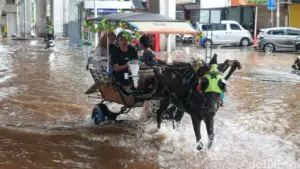 Banjir Meluas di Jakarta: 48 RT dan 29 Ruas Jalan Tergenang Akibat Hujan Deras