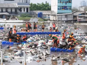 DLH Angkut 137 Ton Sampah dari Pesisir Tanggul Laut Muara Baru Jakarta Utara