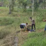 Buaya 3 Meter Terkam Ibu Paruh Baya di Tarakan, Polisi Berhasil Selamatkan Korban