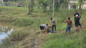 Buaya 3 Meter Terkam Ibu Paruh Baya di Tarakan, Polisi Berhasil Selamatkan Korban