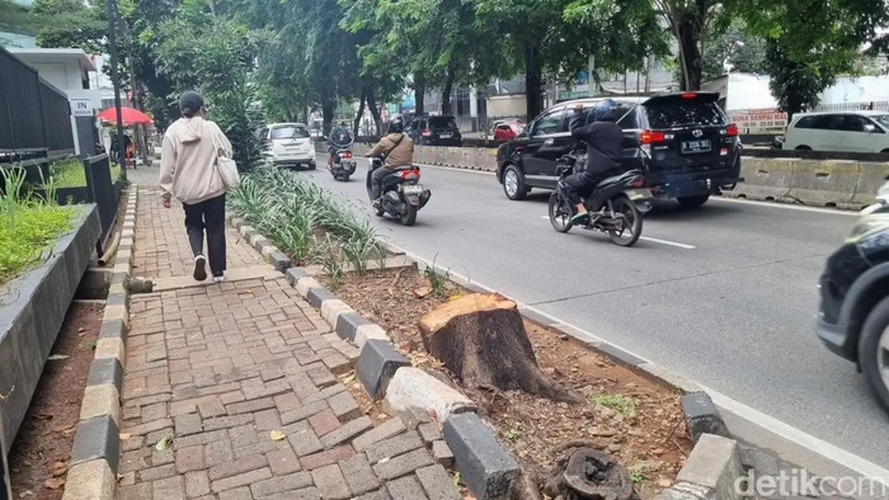 ASN Jakarta Selatan Diberi Sanksi Mutasi Akibat Tebang Pohon Ilegal