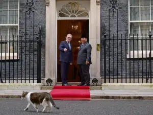 Prabowo Subianto ‘Akrab’ dengan Larry the Cat di London, Ingatkan pada Bobby di Tanah Air